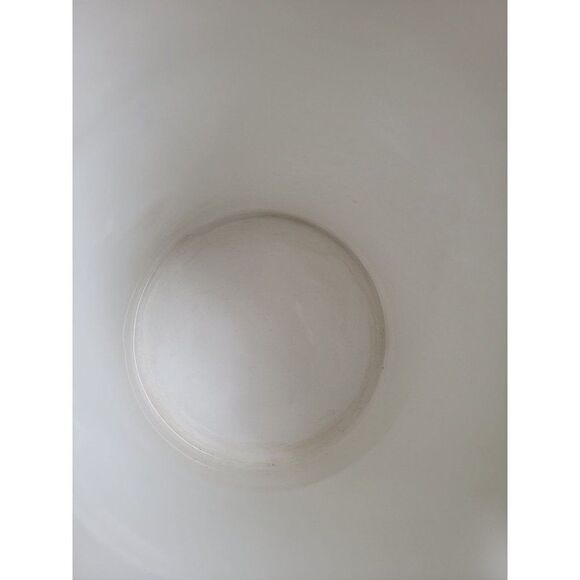 Botanic Gardens crocus meadow saffron snow drop picture flower - Picture 8 of 11